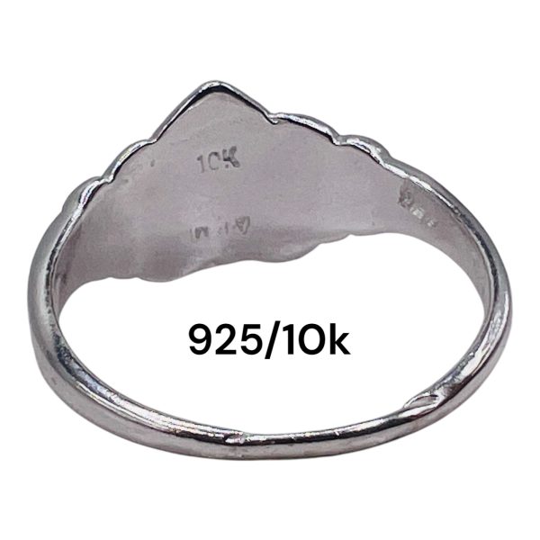 Initial Ring "F" 10k Gold Letter, sz 4.5 | 8.5mm Silver Band - Image 9